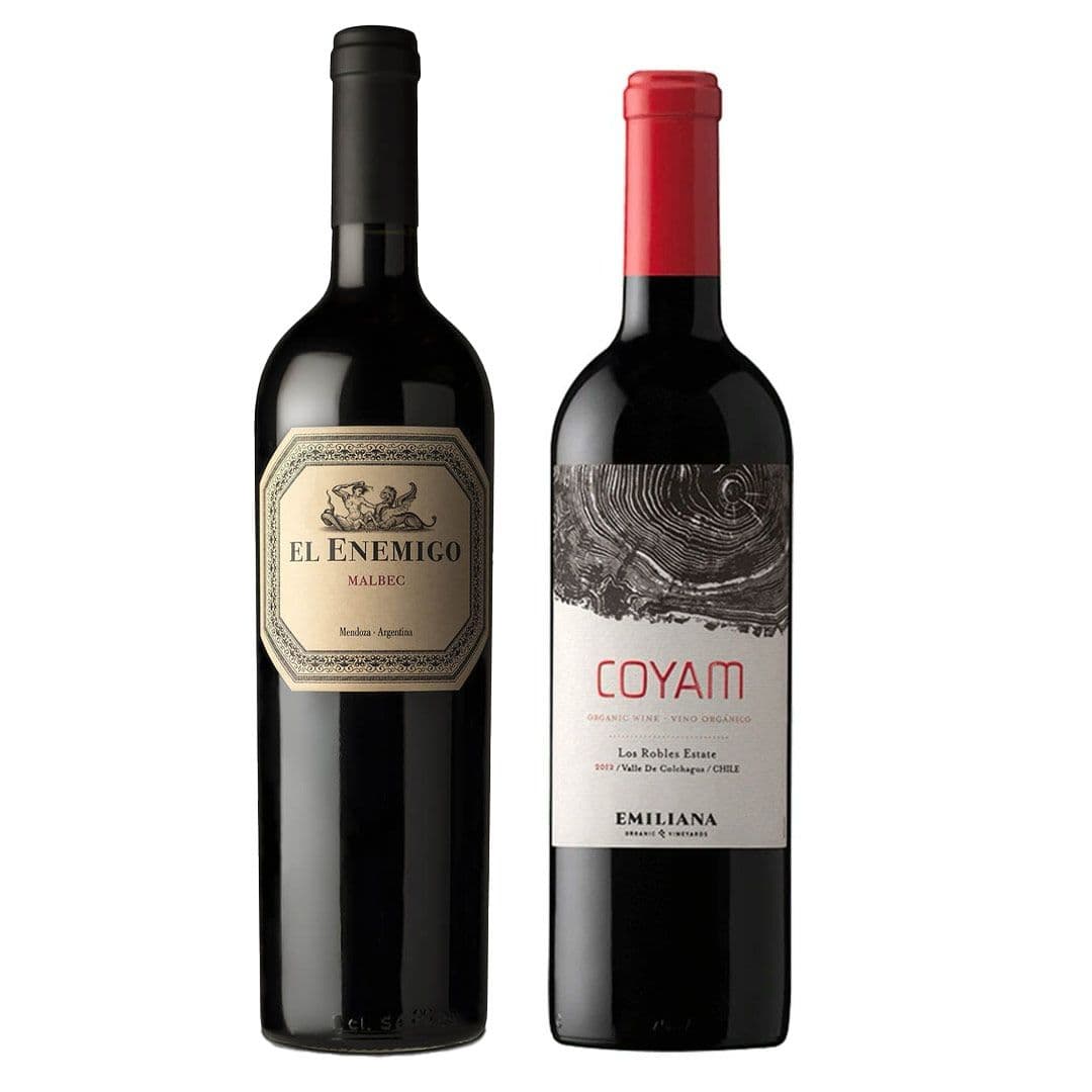 DUO COYAM - ENEMIGO: 1x Vino Orgánico COYAM 750cc + 1x Vino El Enemigo Malbec 750cc_1