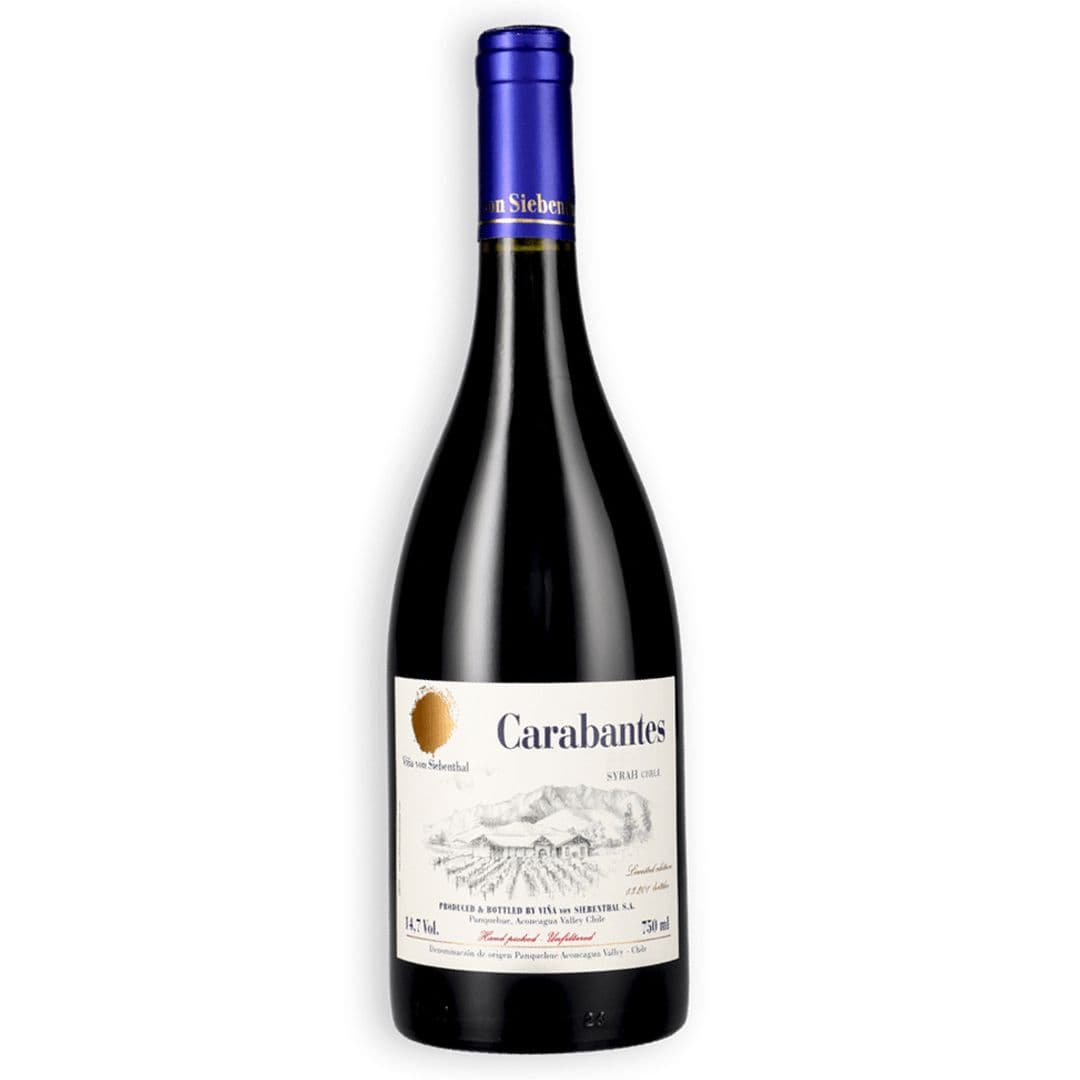 Vino Von Siebenthal Carabantes Syrah 750cc_1