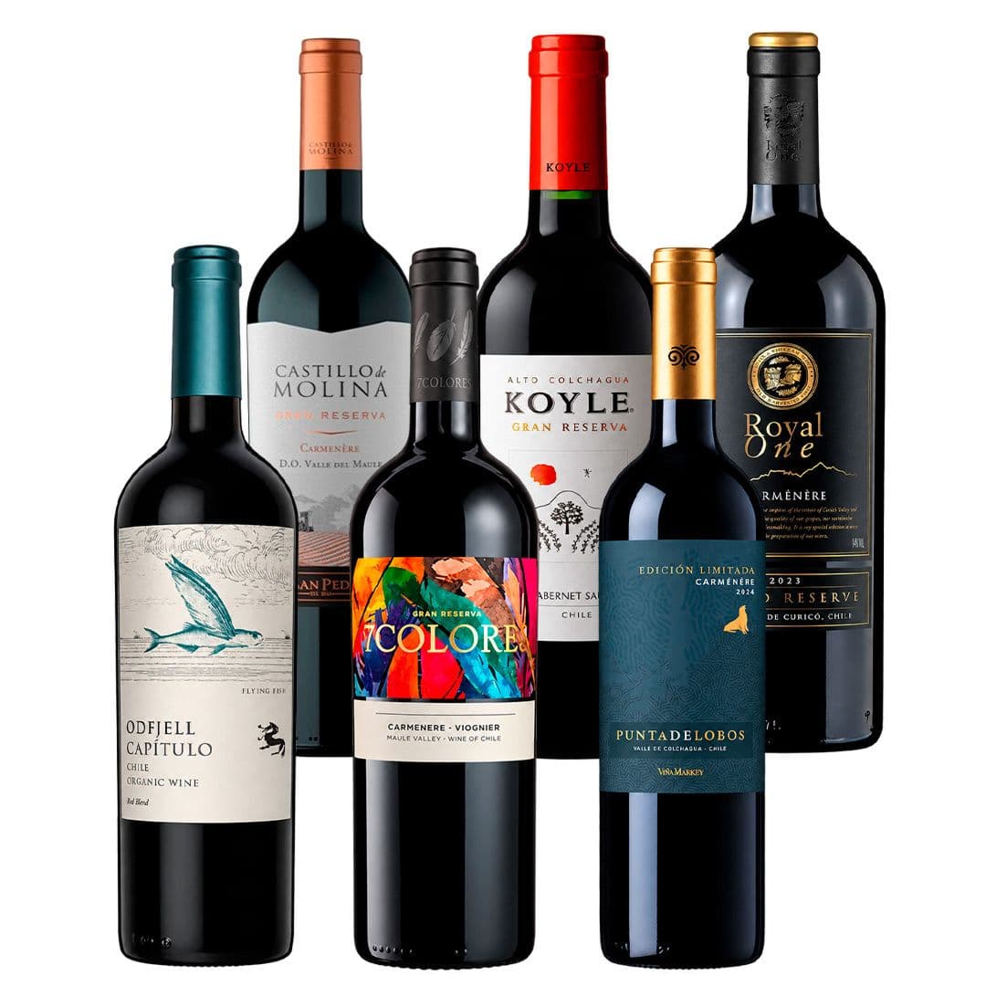 CAJA GRAN RESERVA: 1x Vino Castillo de Molina Gran Reserva Carmenere 750cc + 1x Vino Royal One Gran Reserva Carmenere 750cc + 1x Vino 7 Colores Gran Reserva Carmenere-Viognier 750cc + 1x Vino Viu Manent Punta de Lobos Edición Limitada Carmenere 750cc + 1x Vino Koyle Gran Reserva Cabernet Sauvignon 750cc + 1x Vino Odfjell Capítulo Flying Fish Gran Reserva Ensamblaje 750cc_1