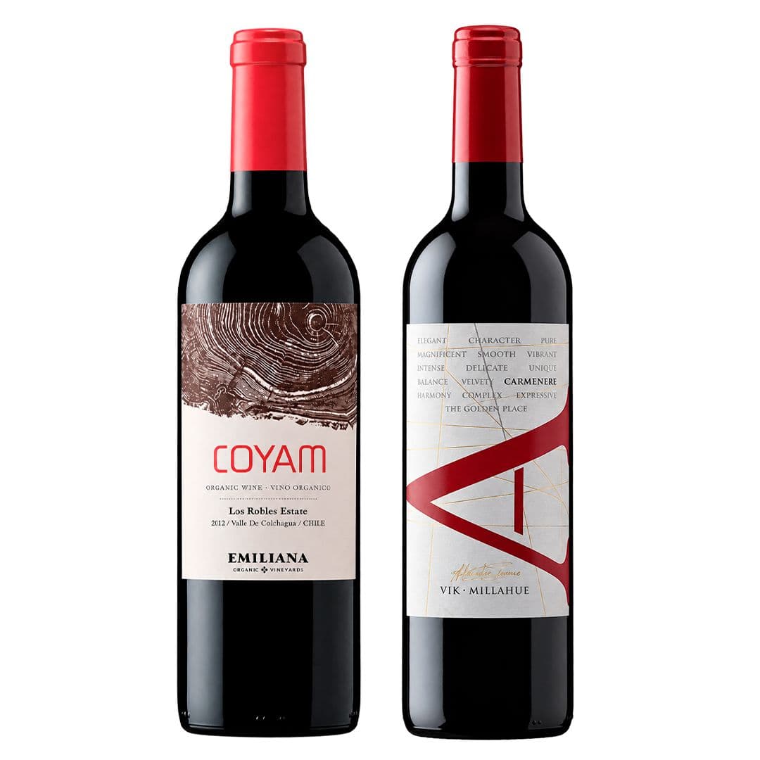 DUO COYAM - VIK A: 1x Vino VIK A Carmenere 750cc + 1x Vino Orgánico COYAM 750cc_1