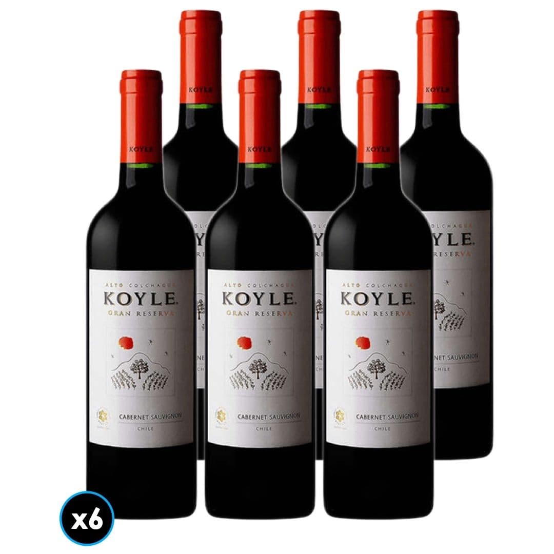 6x Vino Koyle Gran Reserva Cabernet Sauvignon 750cc_1