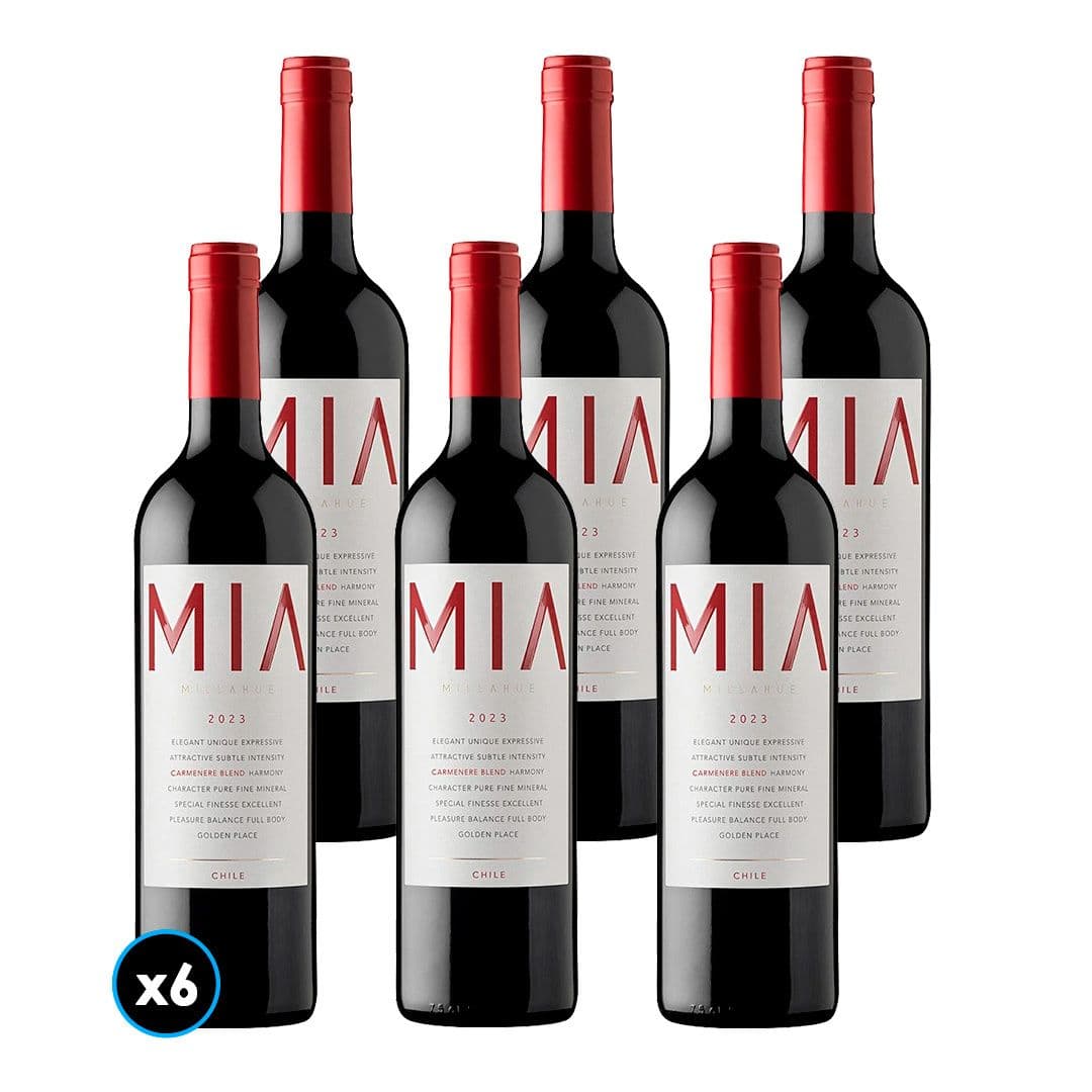 CAJA VIK MIA (Carmenere Blend 2023): 6x Vino VIK MIA Carmenere Blend (2023) 750cc_1