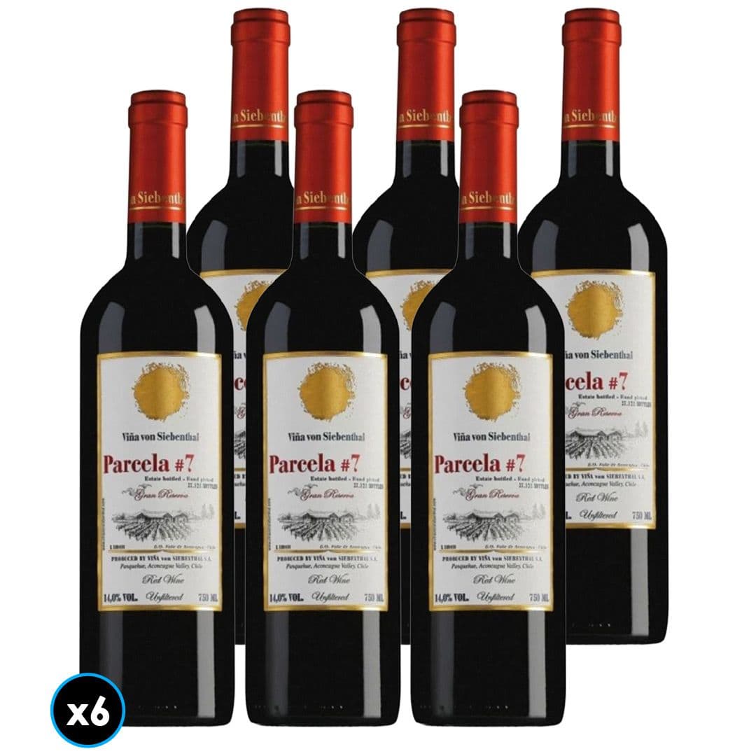 CAJA VON SIEBENTHAL GR PARCELA 7: 6x Vino Von Siebenthal Gran Reserva Parcela 7 750cc_1