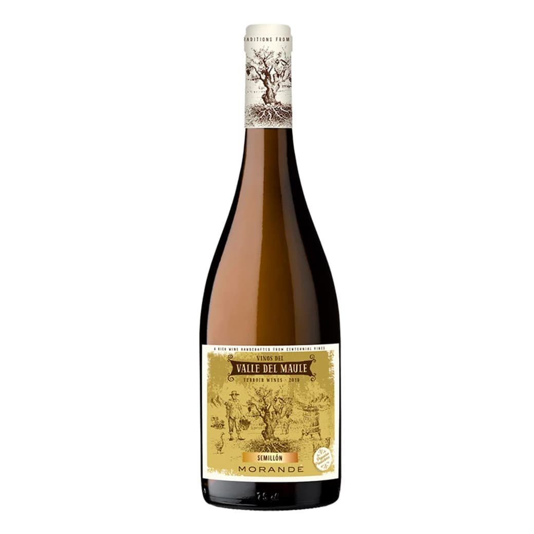 Vino Morande Terroir Wines Semillón 750cc_1