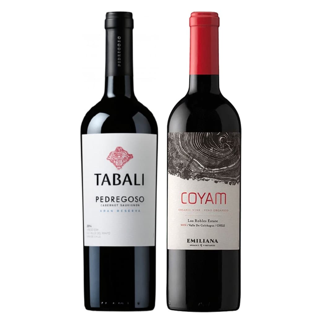 DUO COYAM - TABALI: 1x Vino Orgánico COYAM 750cc + 1x Vino Tabali Pedregoso Gran Reserva Cabernet Sauvignon 750cc_1