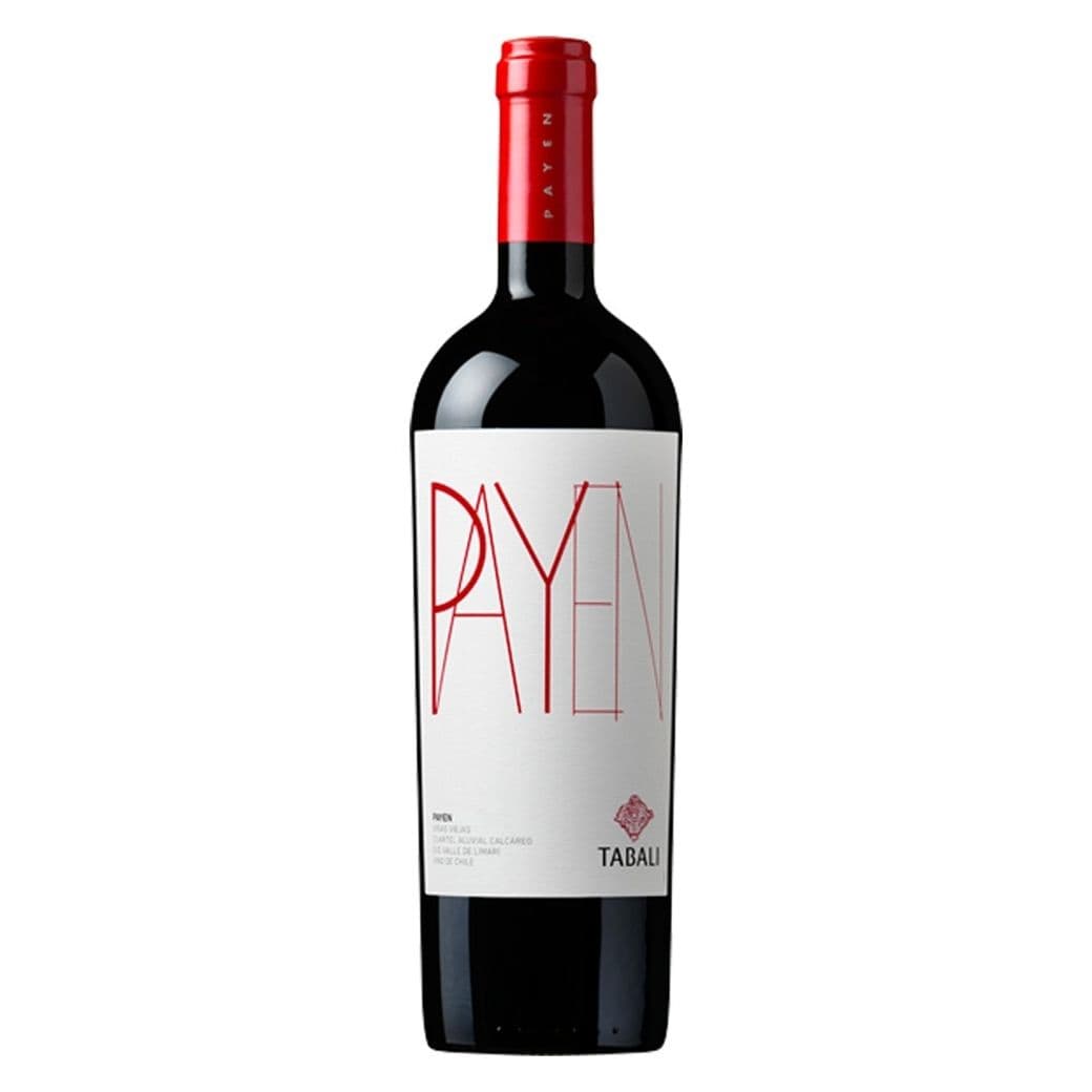 Vino Tabalí Payen Syrah 750cc_1